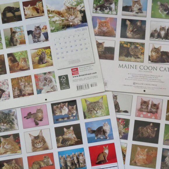 Set of 4 MAINE COON Cats Calendars 2011/12/13/14 (F85) - Picture 2 of 2